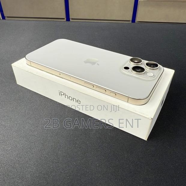 Apple iPhone 15 Pro Max 256 GB Gray - thumbnail 3