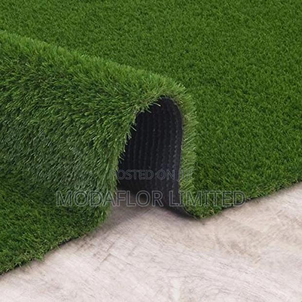 Lush Grass Carpet – Forever Green!