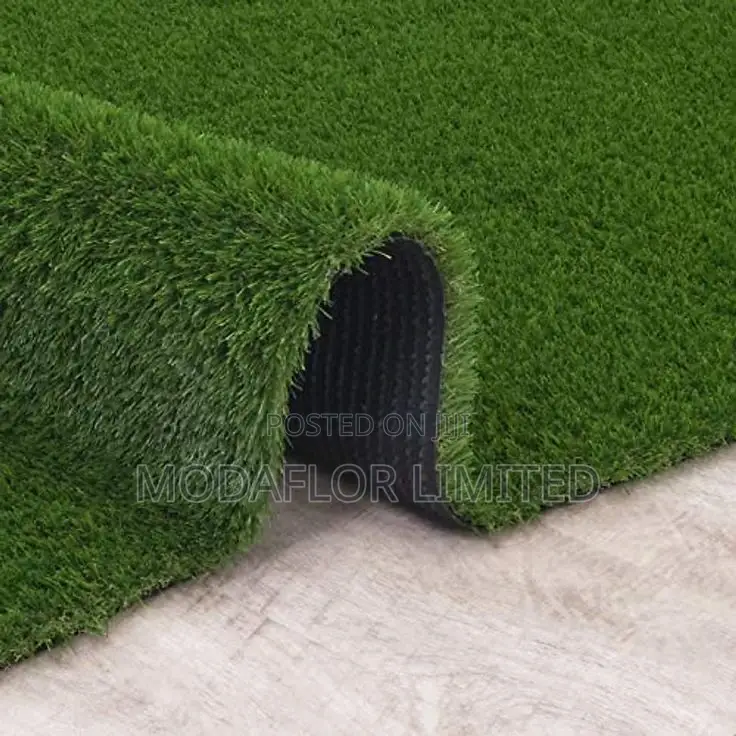 Lush Grass Carpet – Forever Green!