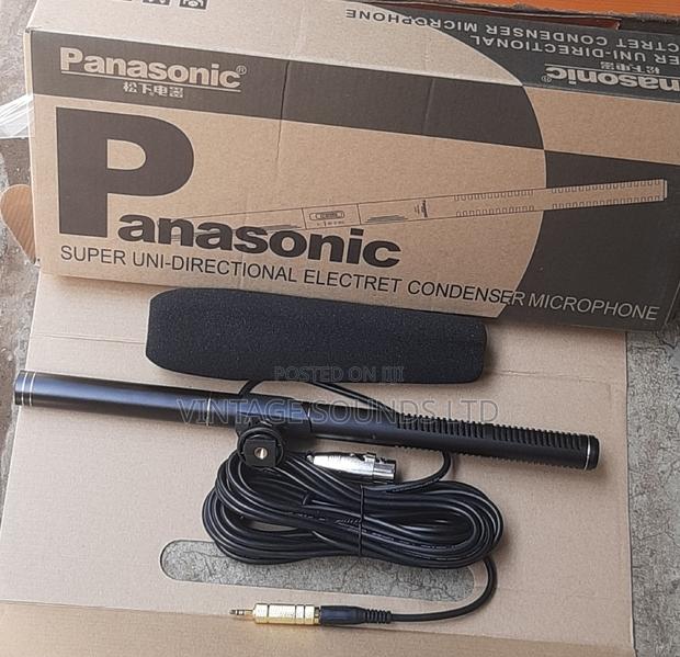 Panasonic Camera Microphone - main view