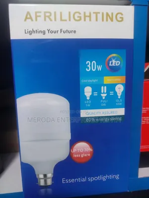 30w Led Bulb Big
