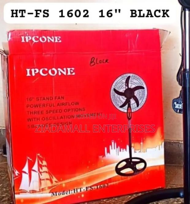 Stay Cool All Day With the Ipcone 16-Inch Standing Fan