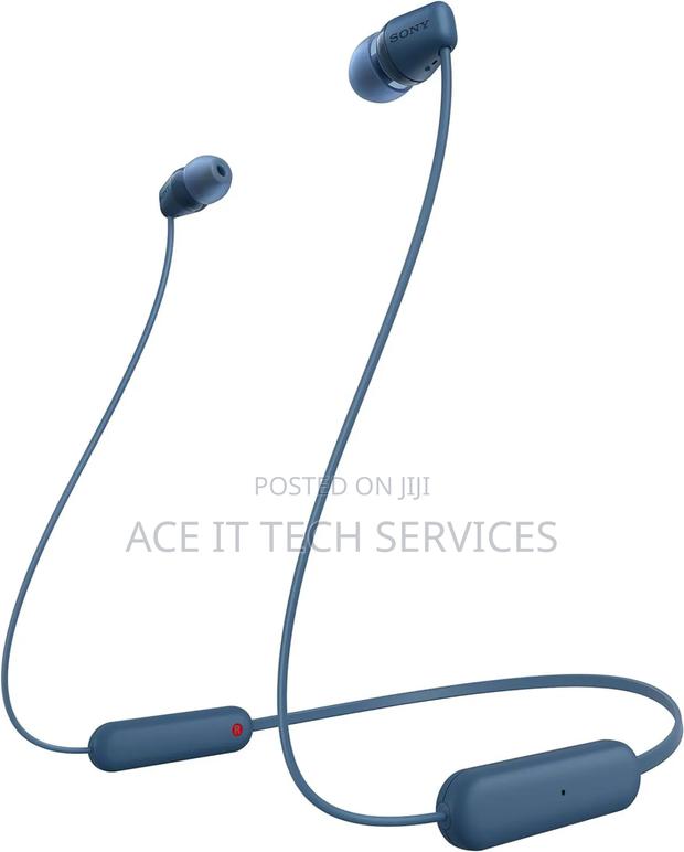 Sony Audio and Tv Wi-C100 Best Price in Nairobi