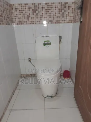 Plumbing,Borehole Services,Biodigesters