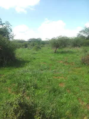 1000 Acres With Spring Water in Kiboko Makindu Is for Lease