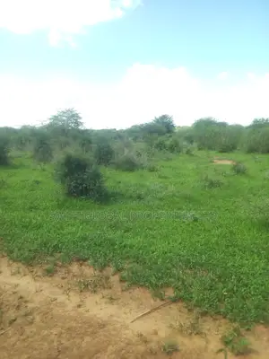 1000 Acres With Spring Water in Kiboko Makindu Is for Lease