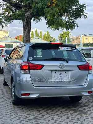 Toyota Corolla Fielder 2019 Silver
