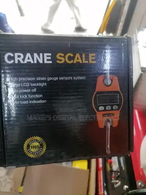 Top Brand New 300kg Crane Scale