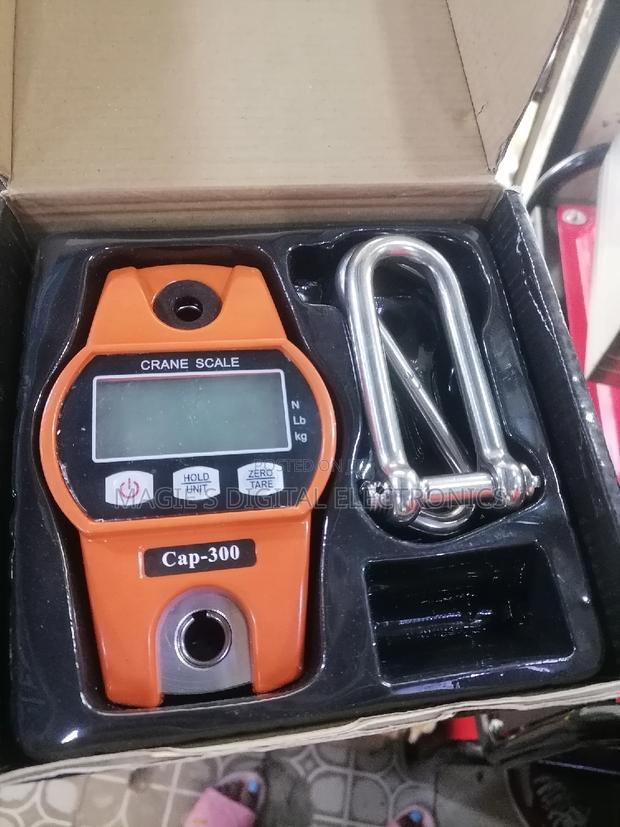 Highly Recommend 300kg Crane Scale - main view