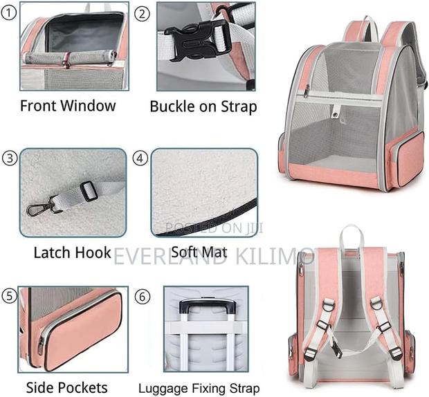 Backpack Carrier for Small Cats and Dogs - main view