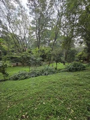 Prime Residential Plot in Westlands - main view