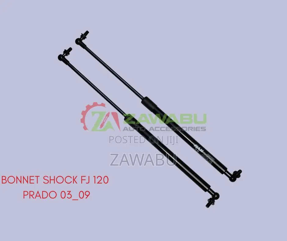 Bonnet Shock Prado Fj 120 03-09