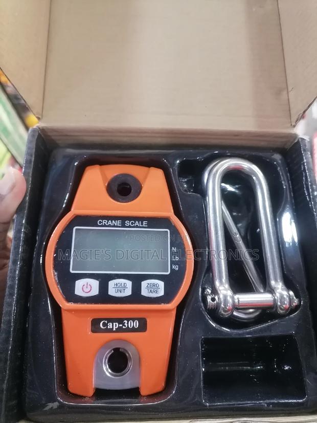 Most Excellent 300kg Crane Scale - main view