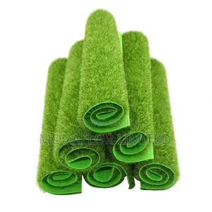 Grass Carpet – The Ultimate Floor Makeover