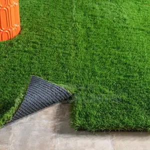 Grass Carpet – Instant Green Without the Work