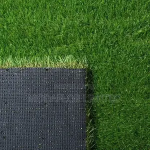 Grass Carpet – From Plain to Picture-Perfect