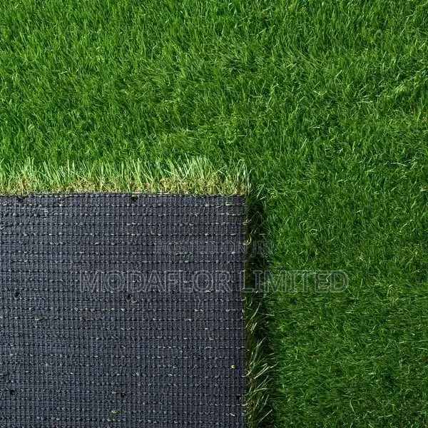 Grass Carpet – From Plain to Picture-Perfect
