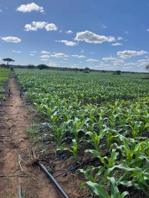 Driplines 0.4mm 0.3mm, 1000m - thumbnail 2