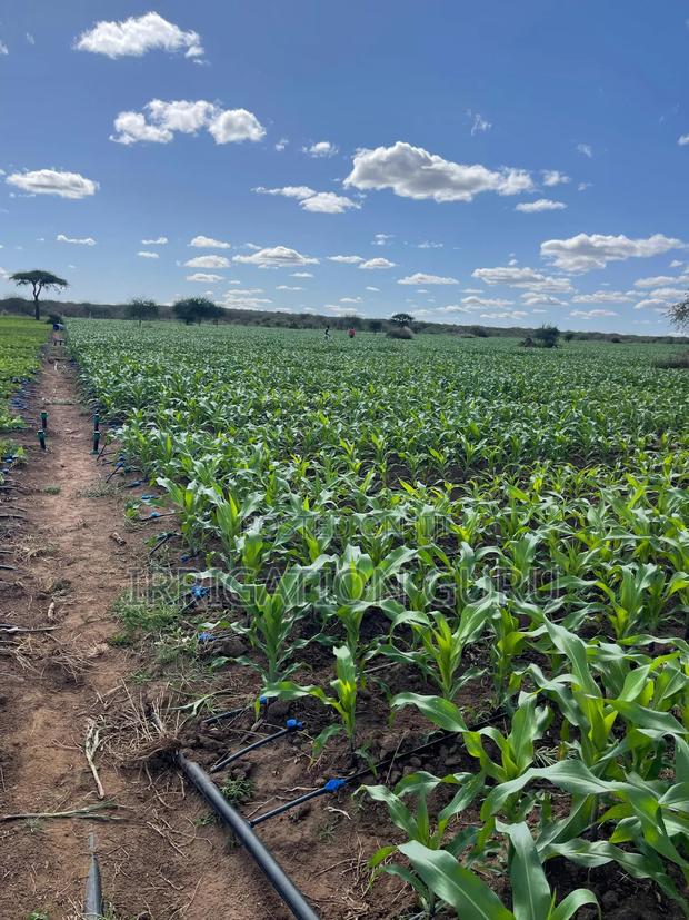 Driplines 0.4mm 0.3mm, 1000m - main view