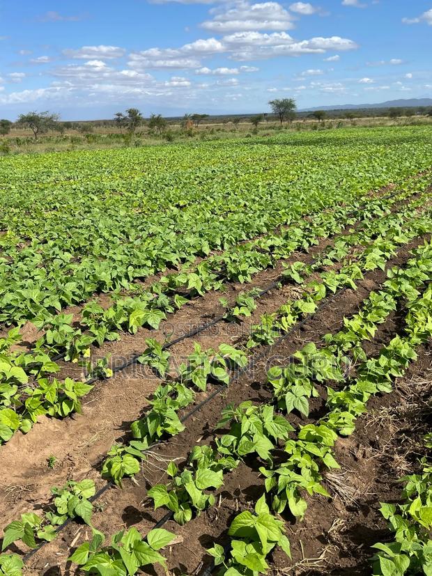 Driplines 0.4mm 0.3mm, 1000m - thumbnail 3