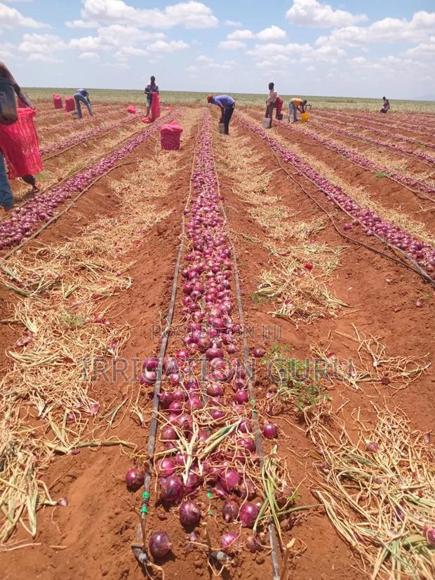 Driplines 0.4mm 0.3mm, 1000m - thumbnail 5