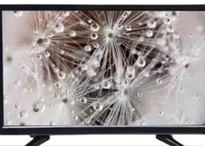 Television 23 Inch (Global Star) Digital