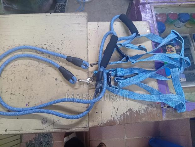 Heavy Duty Dog Leash - main view