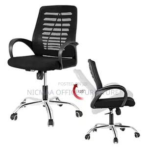 Ergonomic Alignment Meshpro Office Chair