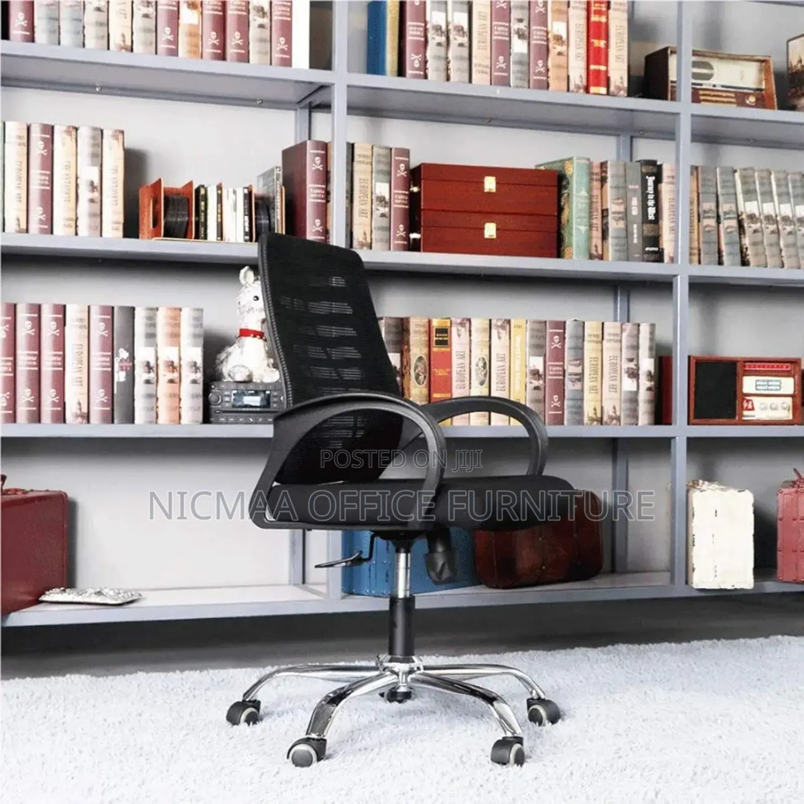 Ergonomic Alignment Meshpro Office Chair