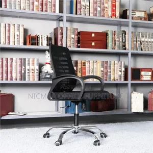 Ergonomic Alignment Meshpro Office Chair