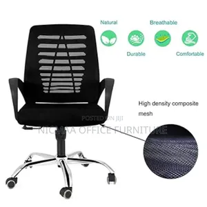 Ergonomic Alignment Meshpro Office Chair