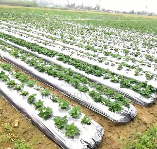 Mulching Paper - main view