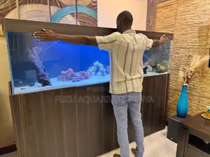 Crystal-Clear Views: Aquarium With Hidden Sump Filters