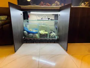 Luxury Aquariums With Under-Cabinet Filtration–Clean Quiet