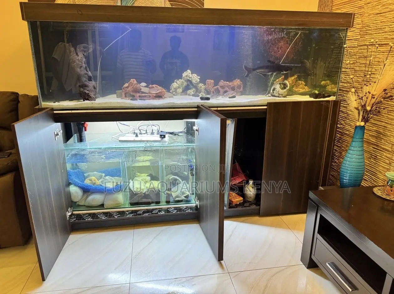 Smart Aquariums With Hidden Filters – Beauty Meets Function