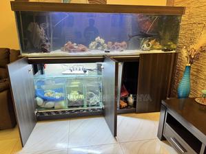 Smart Aquariums With Hidden Filters – Beauty Meets Function - thumbnail 2