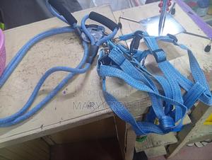 Multicoloured Heavy Duty Dog Leash - thumbnail 2
