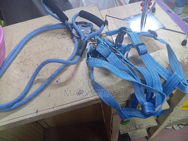 Multicoloured Heavy Duty Dog Leash - main view