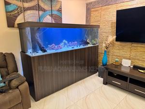 Professional-Grade Aquariums With Sump / Canister Filtration - thumbnail 2