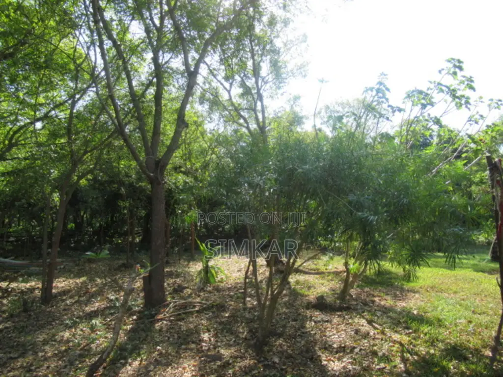 1-Acre Plots for Sale in Diani