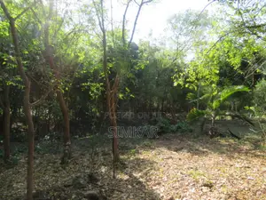 1-Acre Plots for Sale in Diani