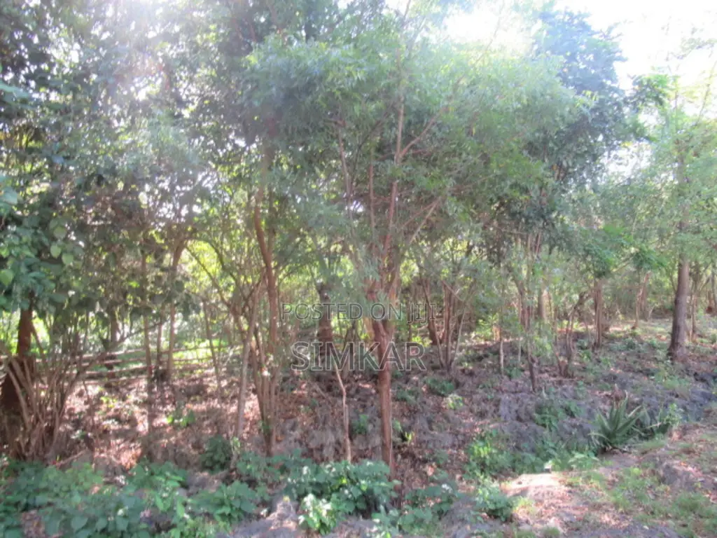 1-Acre Plots for Sale in Diani