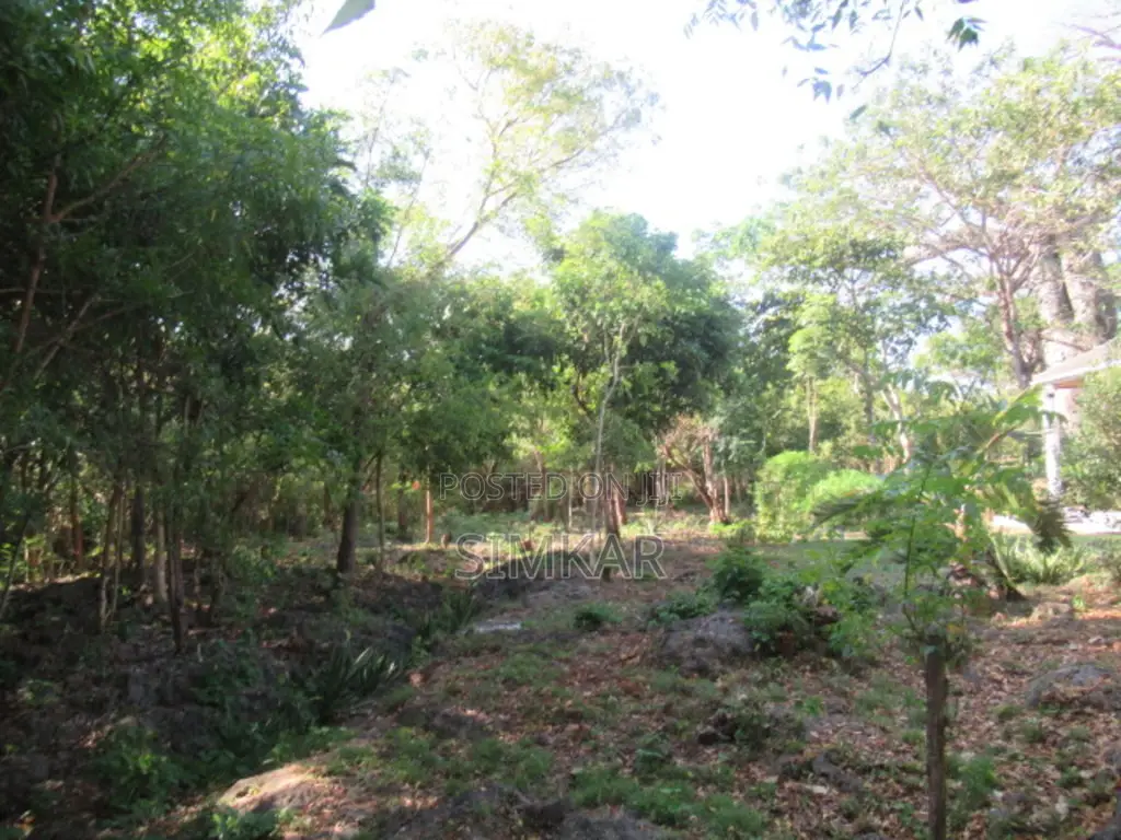 1-Acre Plots for Sale in Diani