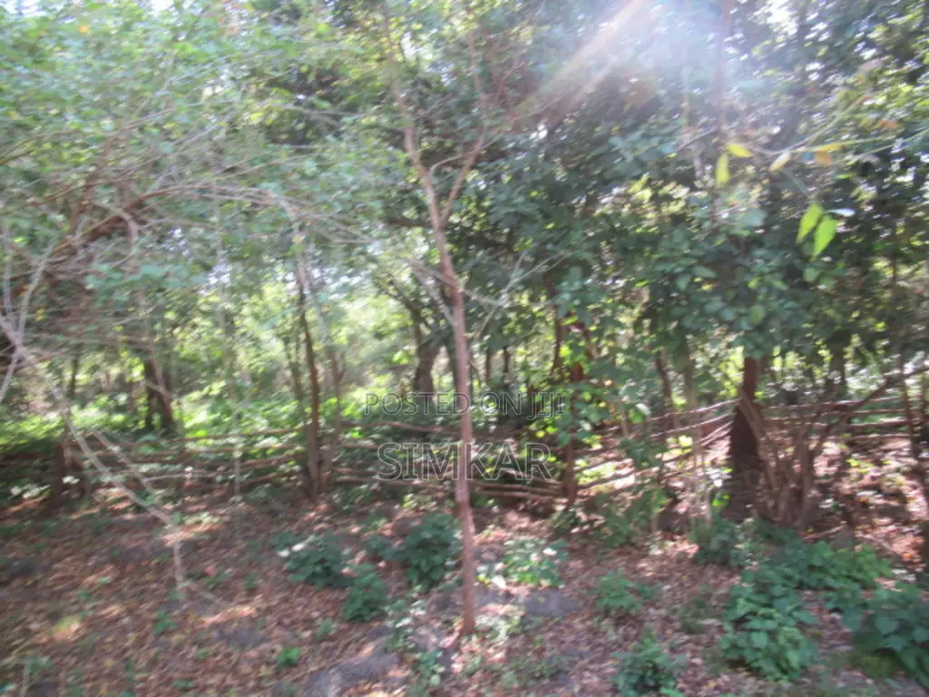 1-Acre Plots for Sale in Diani