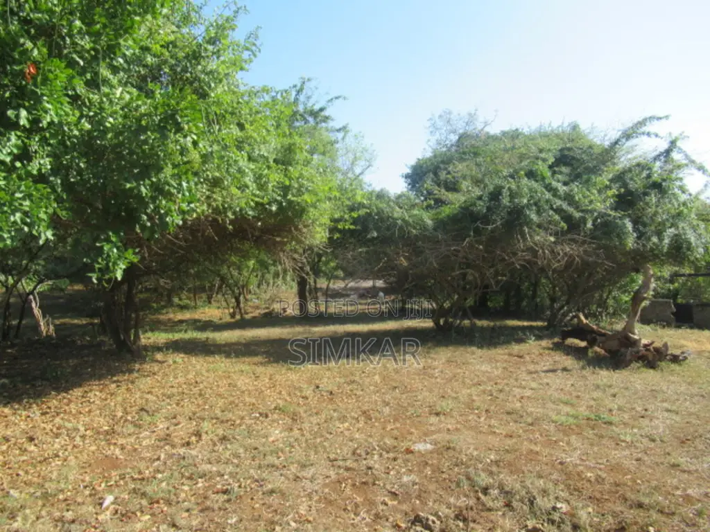 1-Acre Plots for Sale in Diani