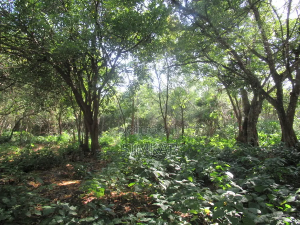 1-Acre Plots for Sale in Diani