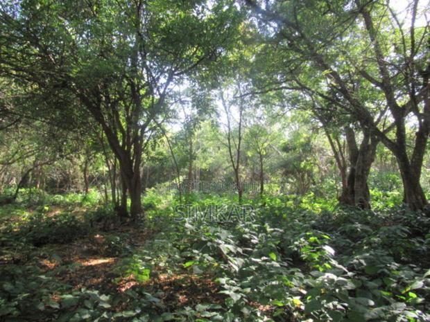 1-Acre Plots for Sale in Diani - thumbnail 10