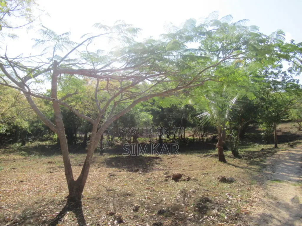 1-Acre Plots for Sale in Diani