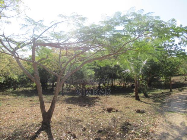 1-Acre Plots for Sale in Diani - thumbnail 11