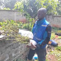 Agri fruits propergator logo